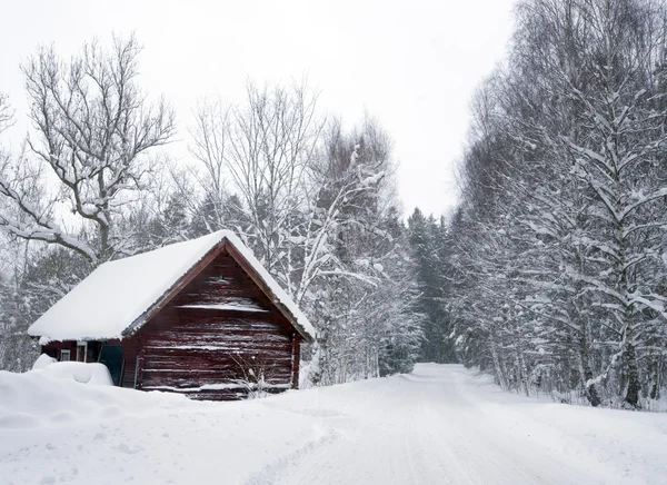 Shed în iarnă — Fotografie, imagine de stoc