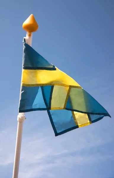 Zweedse vlag — Stockfoto