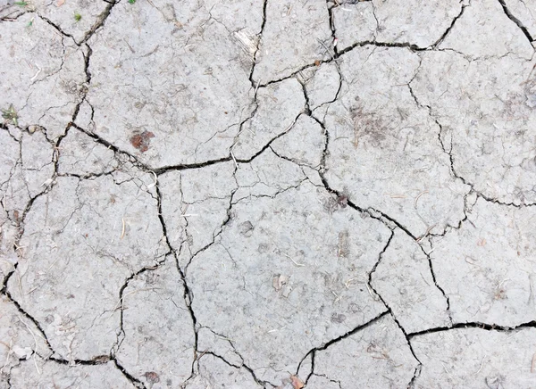 Трещины глины — стоковое фото
