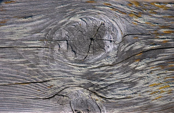 Wiązane drewna — Zdjęcie stockowe