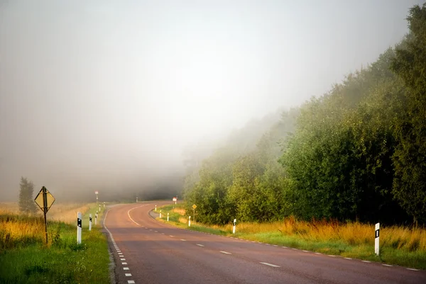Сельская дорога в тумане — стоковое фото