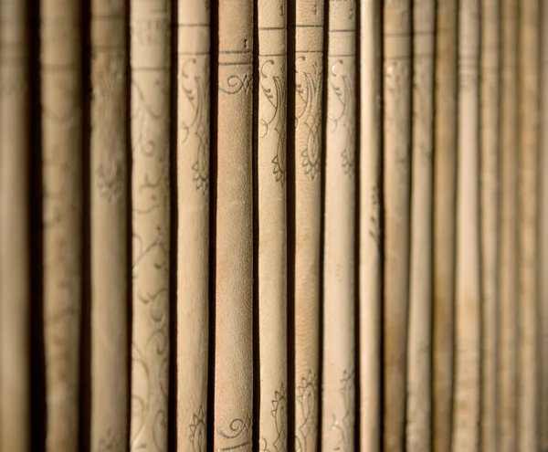 Antecedentes de libros — Foto de Stock