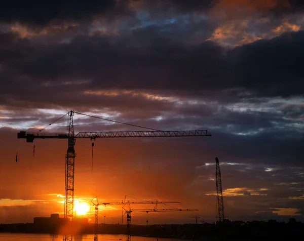 Crane at sunset — Stock Photo, Image