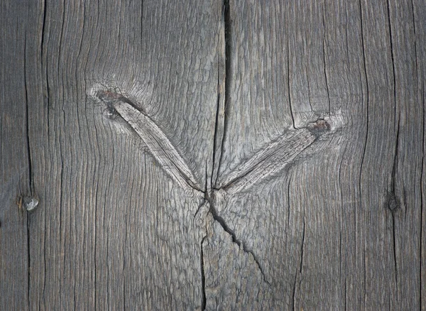 Κόμπους παλιό ξύλο — Φωτογραφία Αρχείου