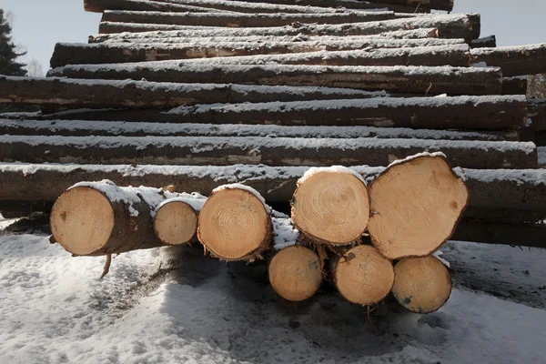 Στοίβα ξυλείας — Φωτογραφία Αρχείου