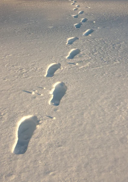 在雪中的脚印 — 图库照片