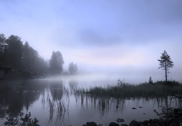 Dimmigt sjö — Stockfoto