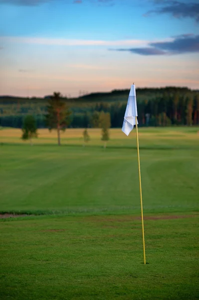 Vlajka na golfovém hřišti — Stock fotografie