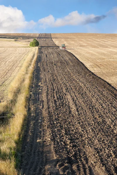 Stock image Plowing a field