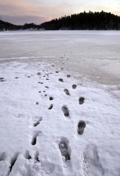 Fußstapfen auf Eis — Stockfoto