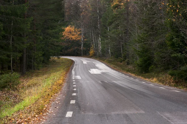 Country road in fall — Stock Photo, Image