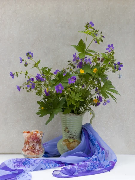 Vahşi bahar çiçekli natürmort — Stok fotoğraf