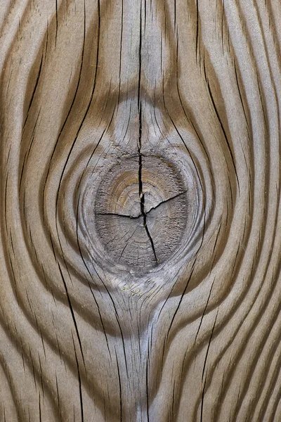 Knotted wood — Stock Photo, Image