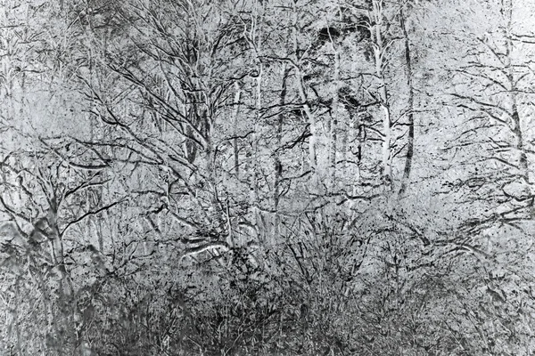 Abstrato árvore fundo — Fotografia de Stock