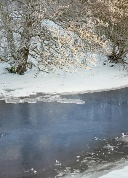 Blå floden på vintern — Stockfoto