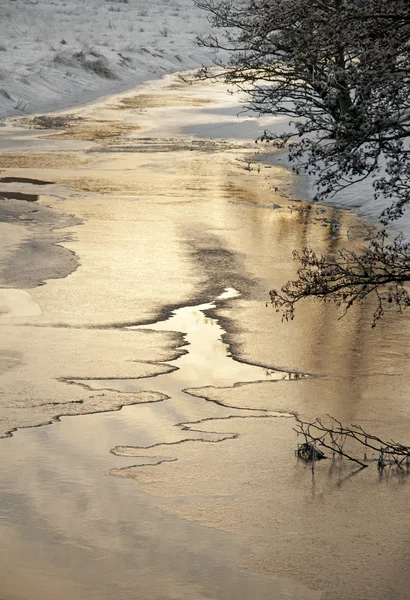 Río con hielo — Foto de Stock