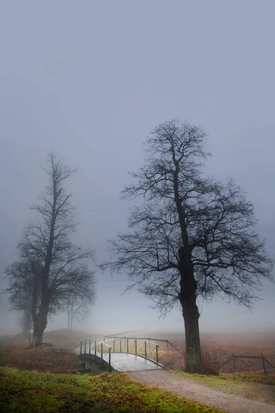 Δέντρα και γέφυρα στην ομίχλη — Φωτογραφία Αρχείου