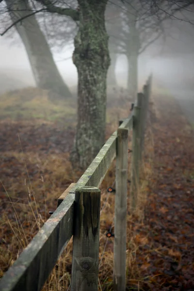 Забор осенью — стоковое фото