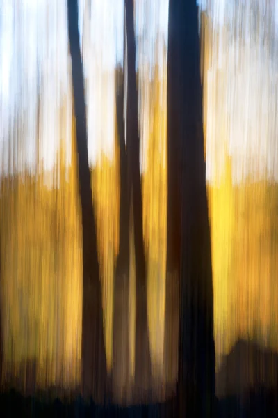 Abstracte herfst bos — Stockfoto