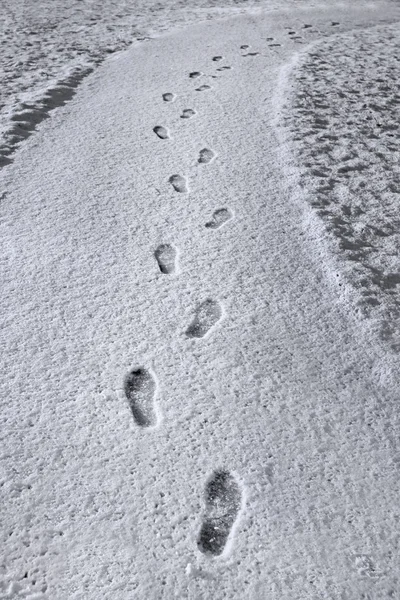 Fußabdrücke im Neuschnee — Stockfoto