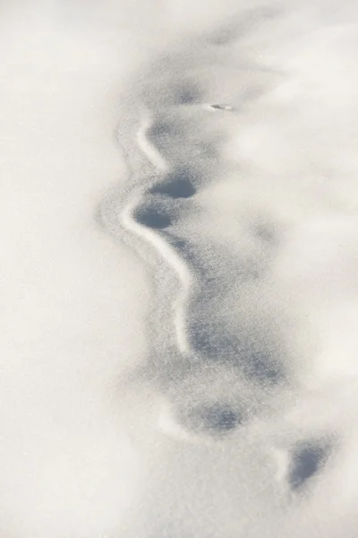 Шаблон в снегу — стоковое фото