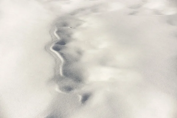 Patrón en nieve —  Fotos de Stock