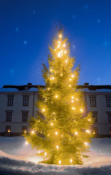 在晚上的圣诞树 — 图库照片