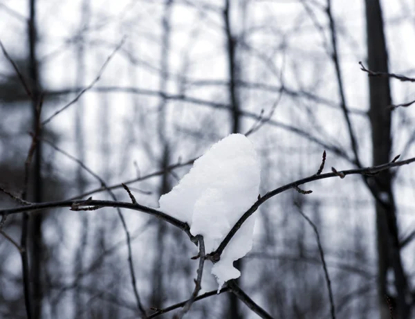 Lump of snow — Stock Photo, Image
