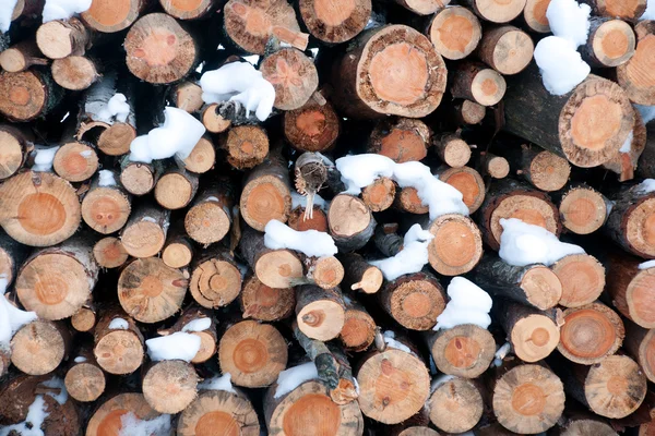Pila di tronchi in inverno — Foto Stock