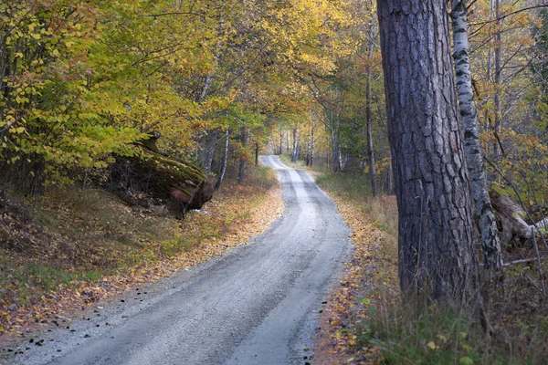 Landevej i efteråret - Stock-foto