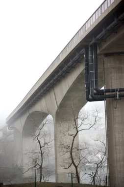 Bare tress under bridge in fog clipart