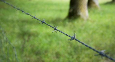 Barbed wire clipart