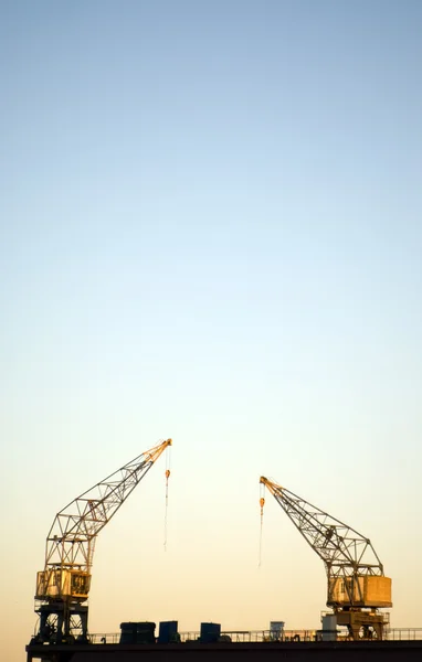 stock image Two cranes