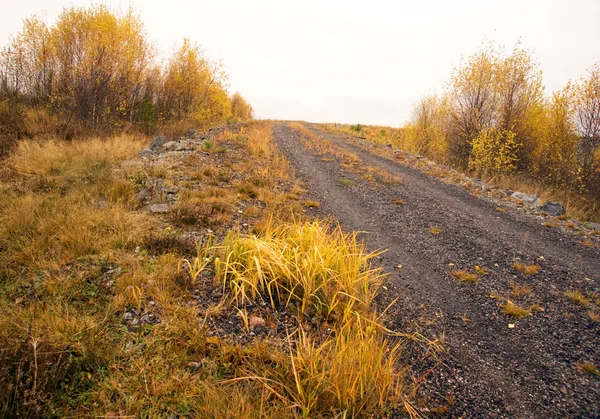 Dirt road in autumn — Stock Photo, Image