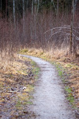 Path in autumn clipart