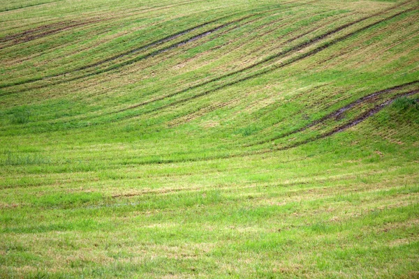Achtergrond van geploegd veld met gras — Stockfoto