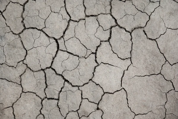 Трещина в сухой глине — стоковое фото