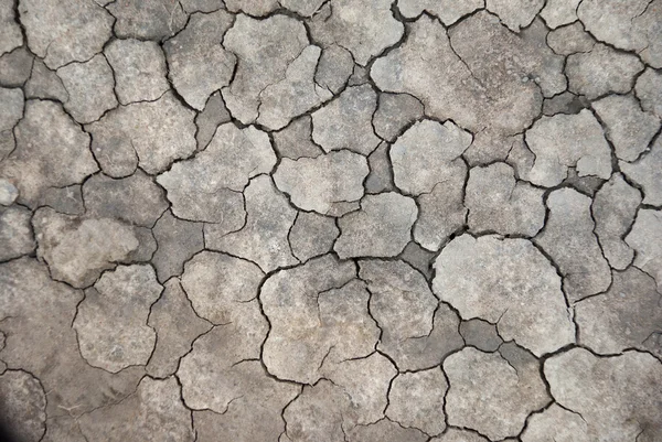 Cracked dry clay — Stock Photo, Image