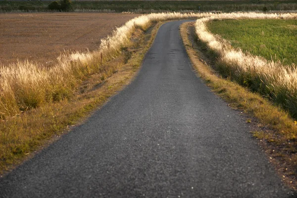 Winding country road — Stock Photo, Image