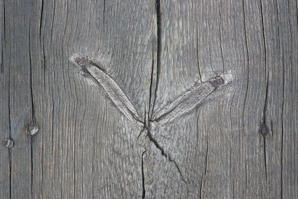 Knotted old wood — Stock Photo, Image