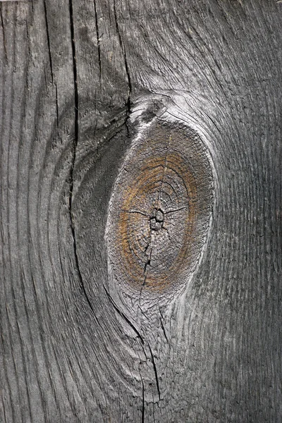 Oude geknoopte hout — Stockfoto