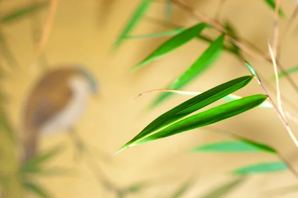 Bambus a pták — Stock fotografie