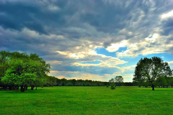 Nuvem sobre o prado verde — Fotografia de Stock