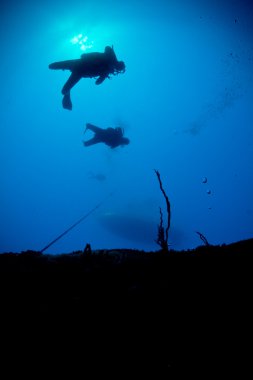 Silhouettes of scuba divers descending onto a wreck clipart