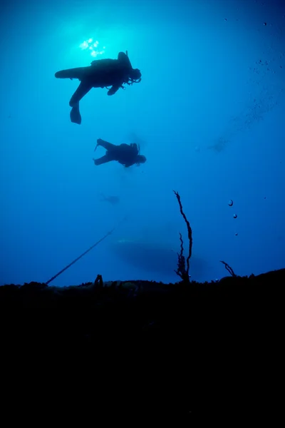 Silhuetas de mergulhadores descendo sobre um naufrágio — Fotografia de Stock