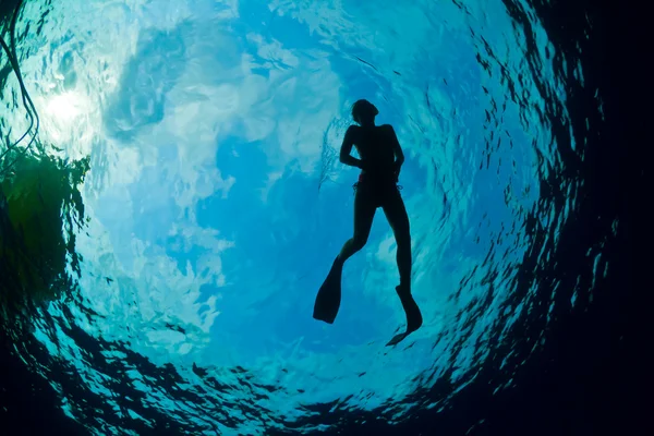 轮廓的有吸引力的女性 snorkeler — 图库照片