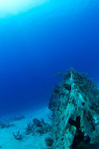 Ship wreck, Honduras — Stock Photo, Image
