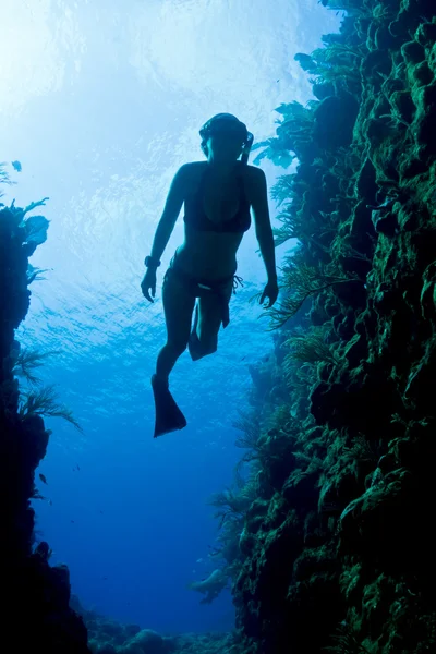 Caribe freediver — Foto de Stock