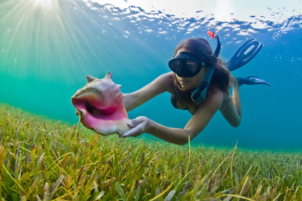 Snorkeler with a conch shell — Stock Photo, Image