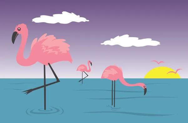Flamingo 's — Stockvector